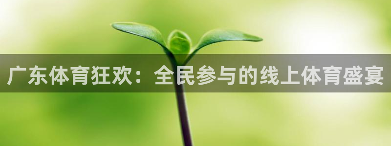 山猫体育直播：广东体育狂欢：全民参与的线上体育盛宴