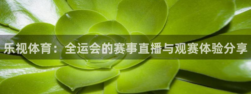 山猫足球免费直播高清：乐视体育：全运会的赛事直播与观赛体验分享