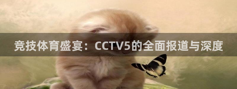 nba直播吧山猫体育：竞技体育盛宴：CCTV5的全面报道与深度