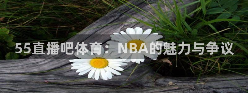 山猫体育网页版：55直播吧体育：NBA的魅力与争议