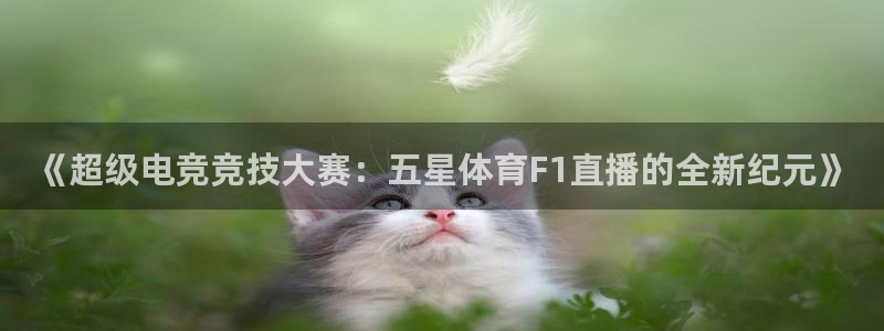 nba直播 山猫：《超级电竞竞技大赛：五星体育F1直播的全新纪元》