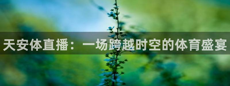 山猫体育nba视频直播：天安体直播：一场跨越时空的体育盛宴
