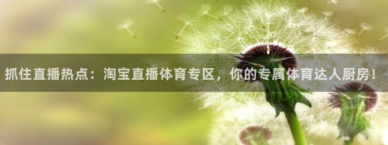 山猫体育免费体育直播：抓住直播热点：淘宝直播体育专区，你的专属体育达人厨房！