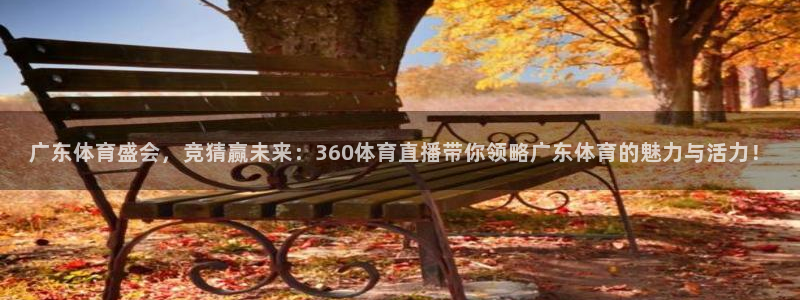 山猫足球直播雨燕直播：广东体育盛会，竞猜赢未来：360体育直播带你领略广东体育的魅力与活力！
