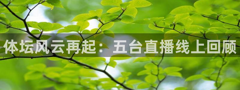 山猫足球比赛直播：体坛风云再起：五台直播线上回顾