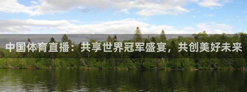 山猫在线体育直播篮球：中国体育直播：共享世界冠军盛宴，共创美好未来