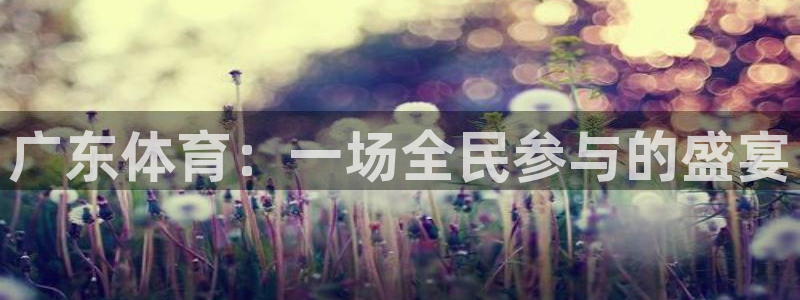 山猫直播足球免费观看高清版：广东体育：一场全民参与的盛宴