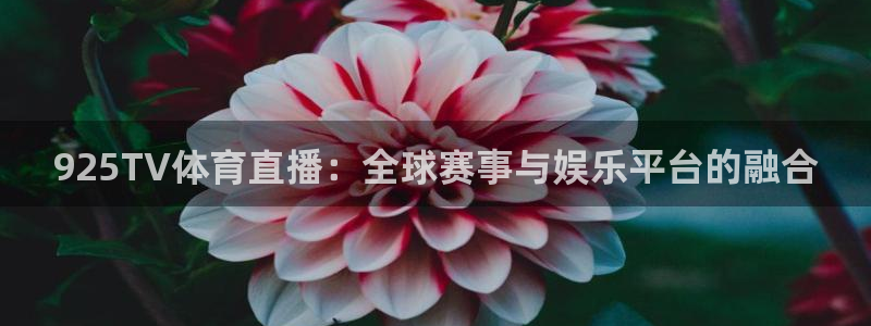 山猫足球体育赛事直播：925TV体育直播：全球赛事与娱乐平台的融合