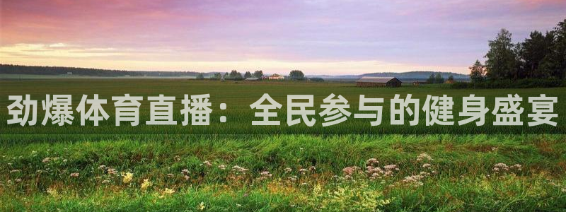 山猫直播免费足球直播：劲爆体育直播：全民参与的健身盛宴